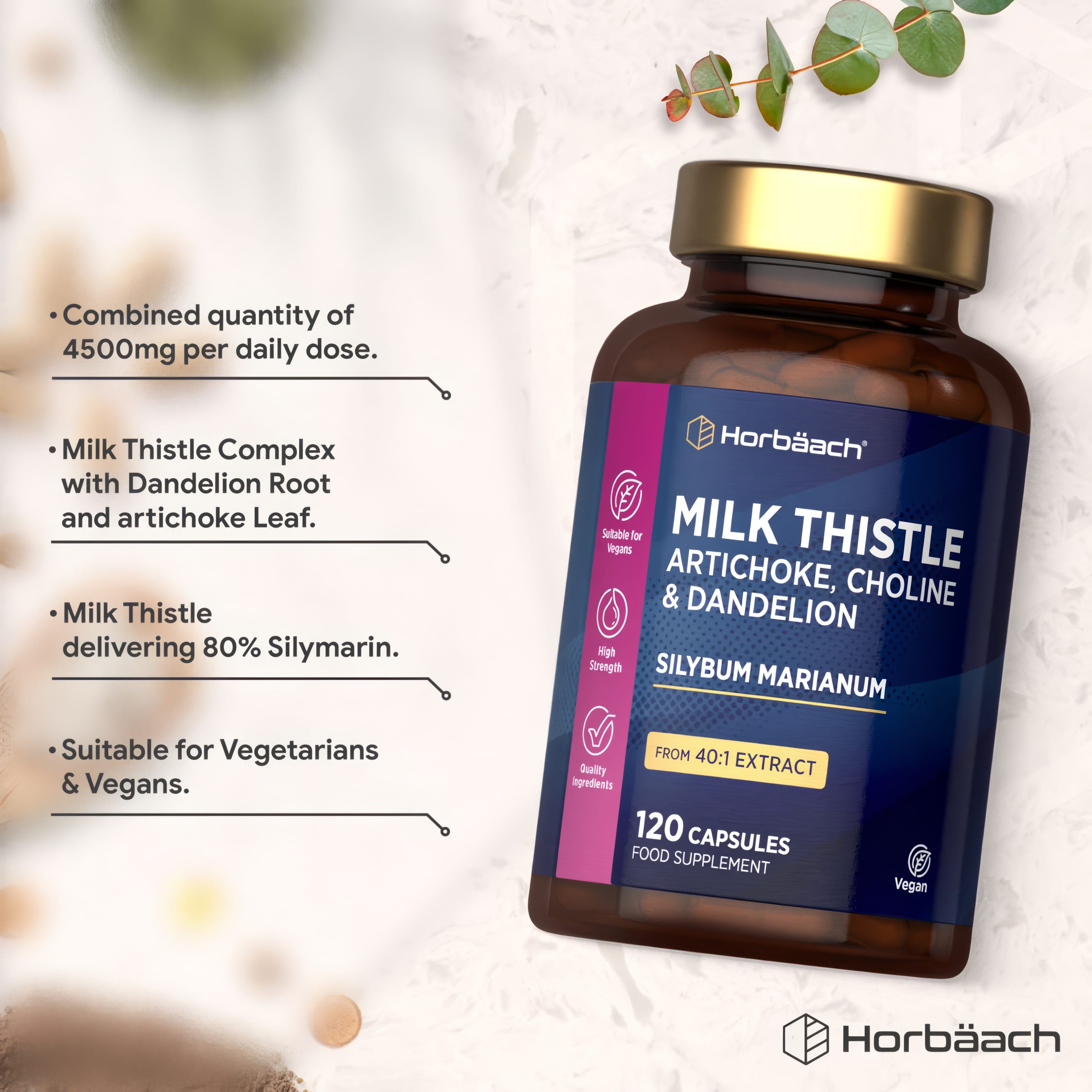 Milk Thistle Artichoke, Choline & Dandelion Complex with Silybum Marianum, 40:1 Extract in 120 Vegan Capsules.