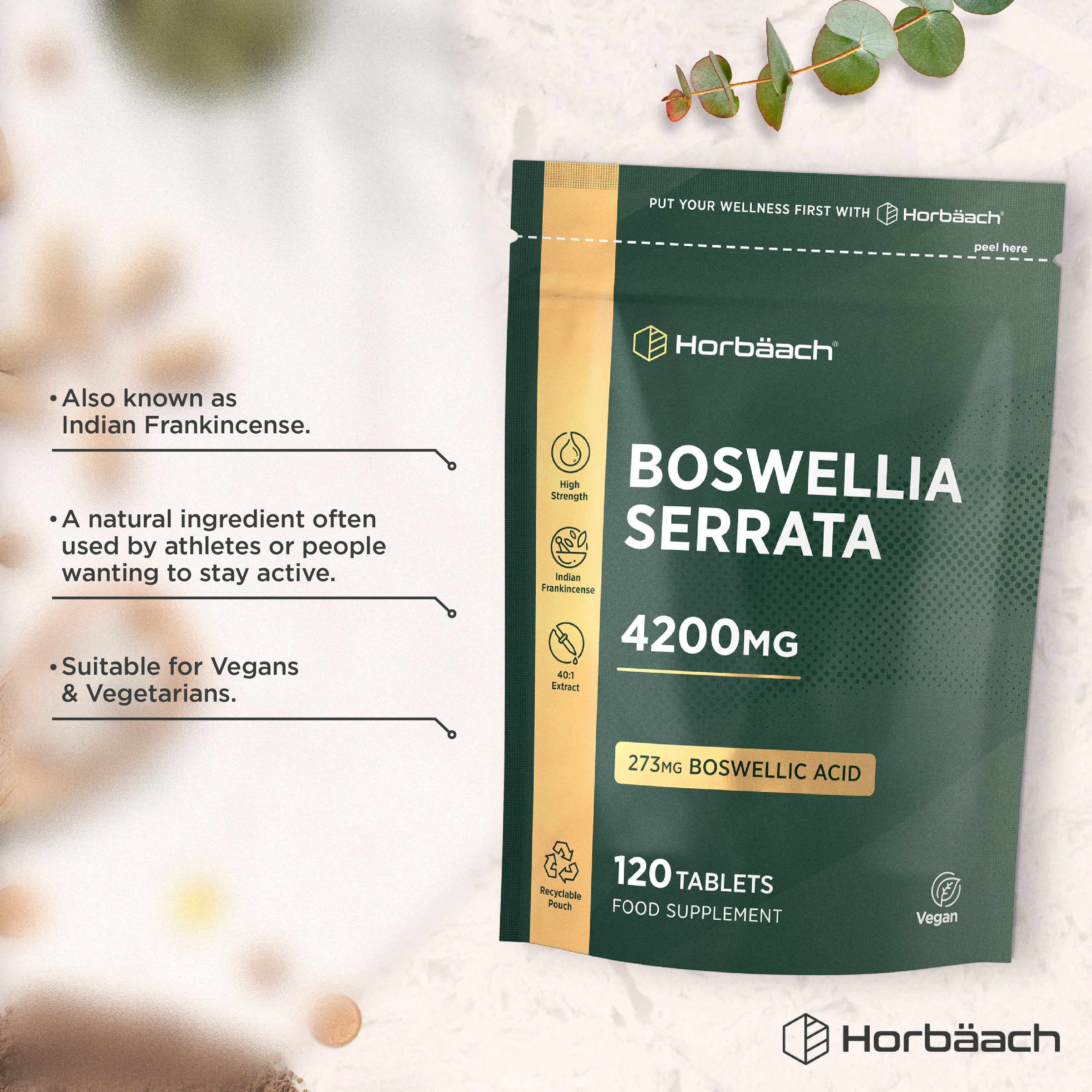 Boswellia Serrata 4200 mg with Bioperine | 120 Tablets