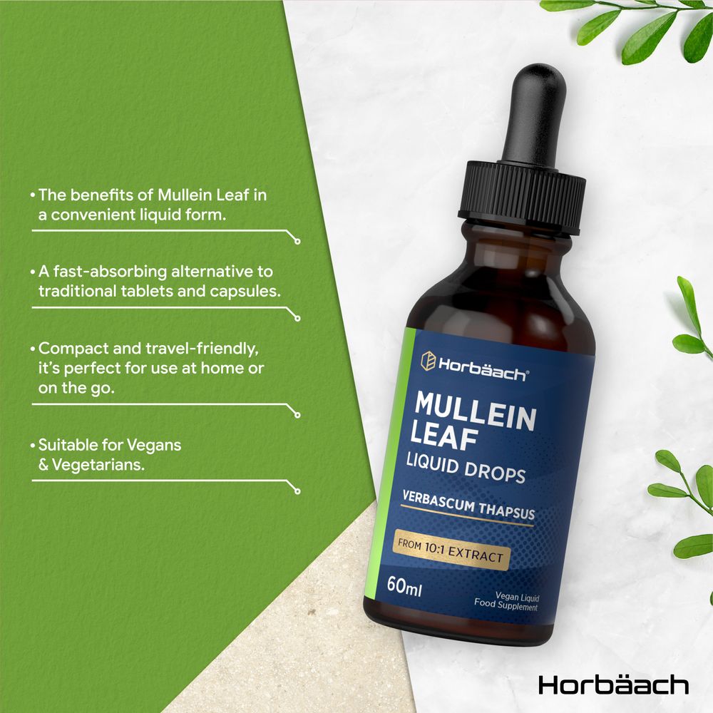 Mullein Leaf Extract Drops | 60 ml