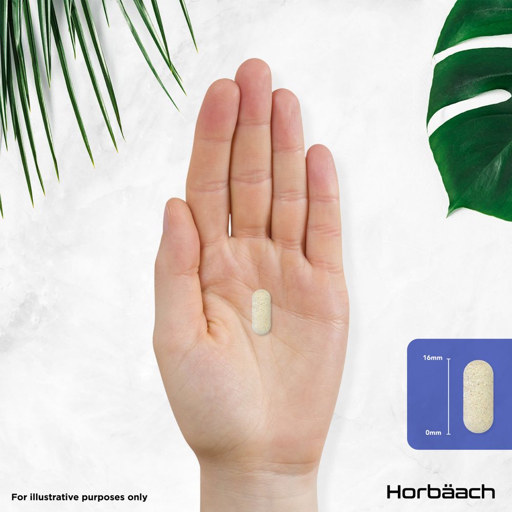 Multivitamins and Minerals for Teens | 120 Tablets