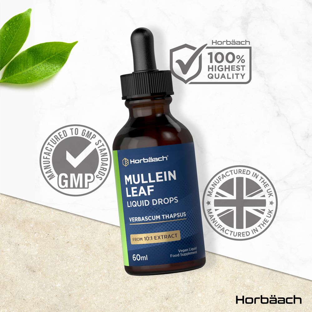 Mullein Leaf Extract Drops | 60 ml