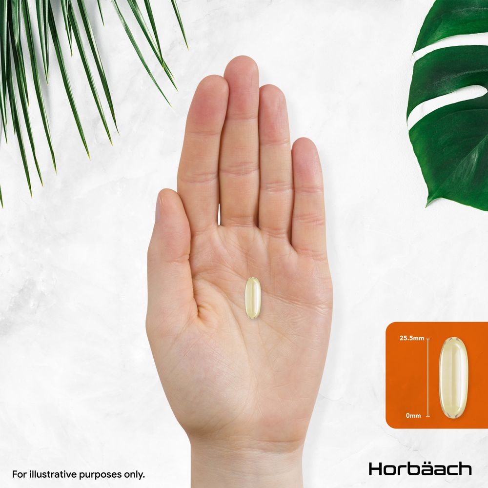 Softgel measuring 25.5mm long shown on hand scale, illustrating size and dimensions for accurate visualization.