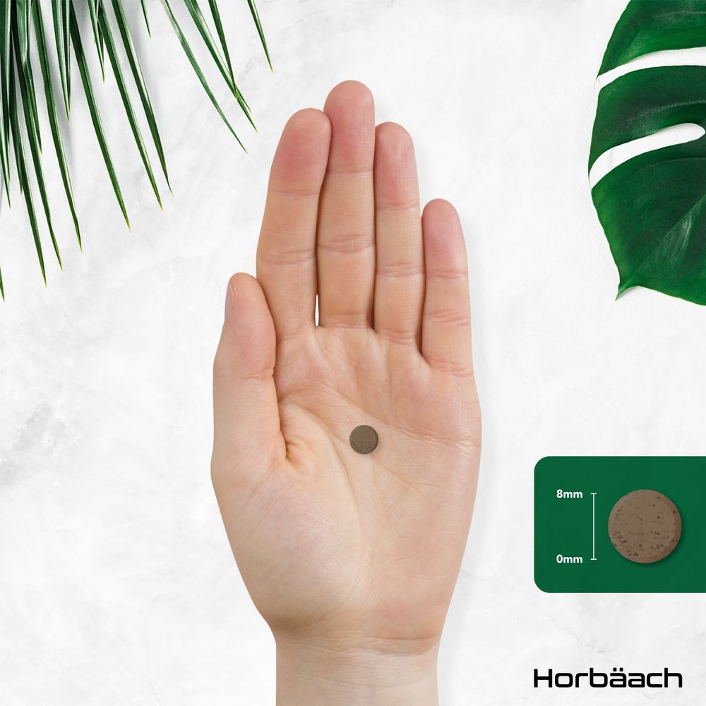 A vegan tablet, 8mm thick, placed on an open hand.