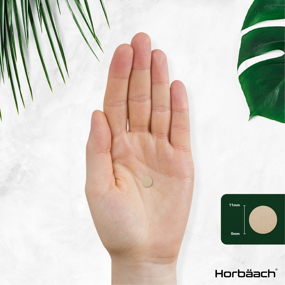 DGL Licorice 400 mg | 90 Chewable Tablets