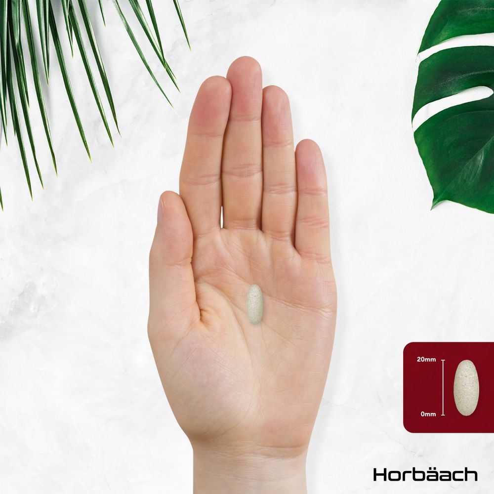 Apple Cider Vinegar Complex 4000 mg | 90 Tablets