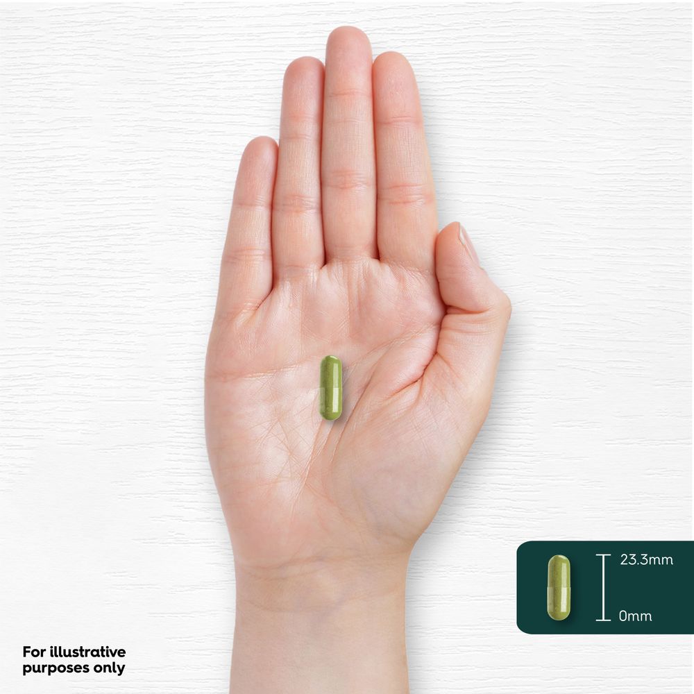 Matcha Green Tea | 60 Capsules