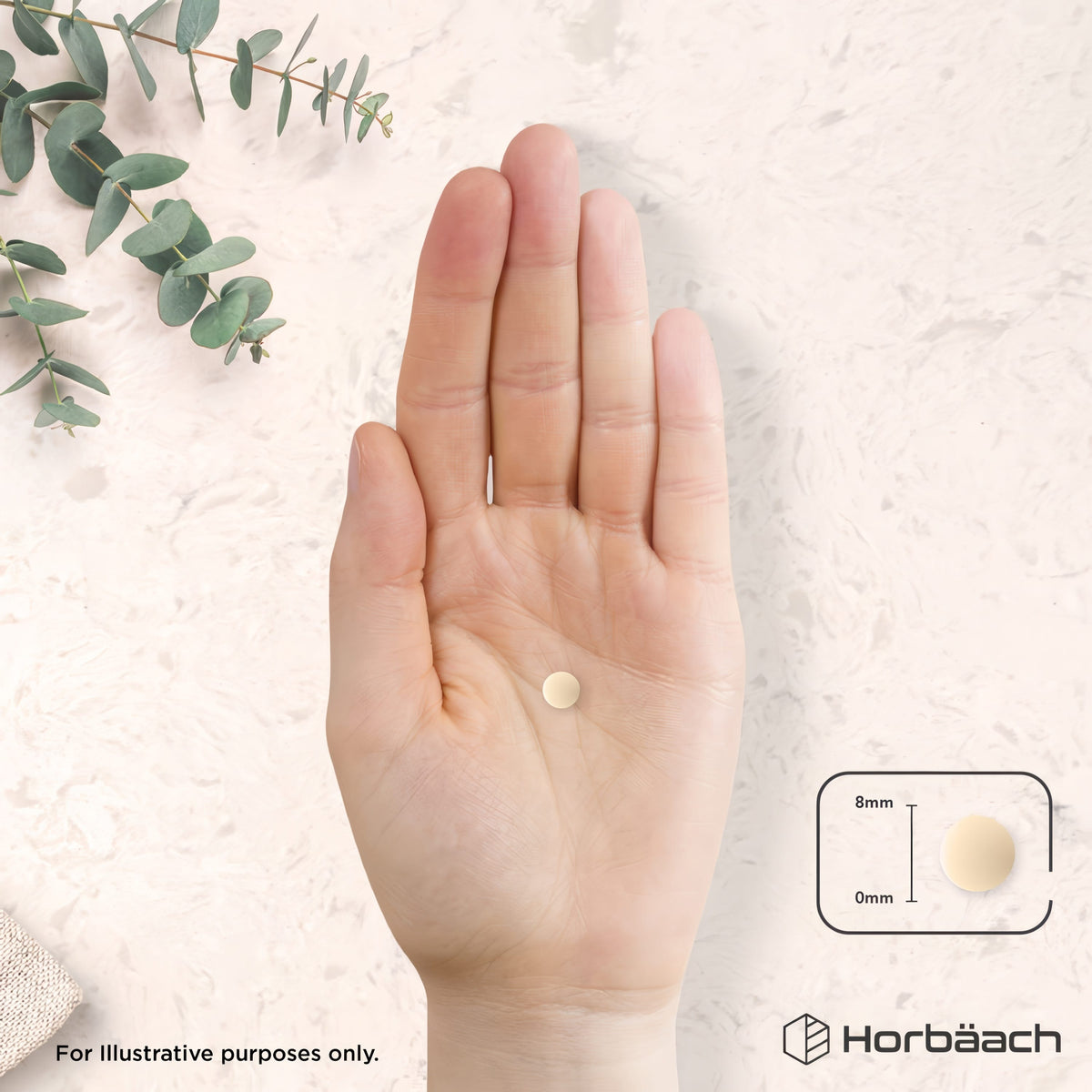 A hand holding an 8mm Milk Thistle tablet.