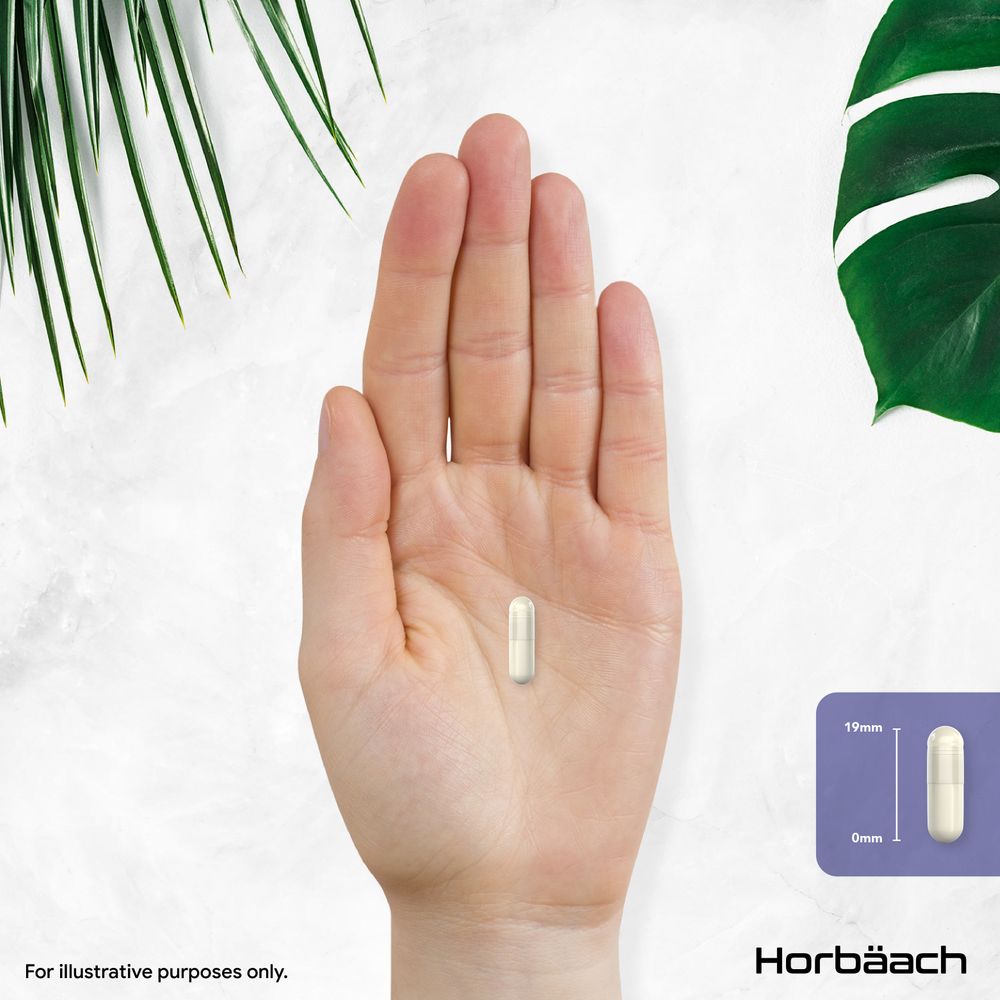 Hyaluronic Acid 900 mg | 90 Capsules