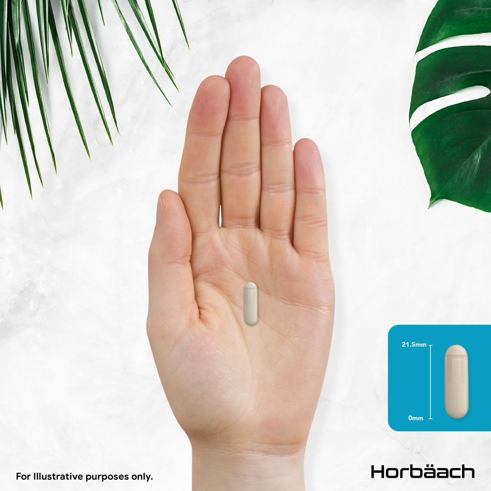 Psyllium Husk Complex for Men | 120 Capsules