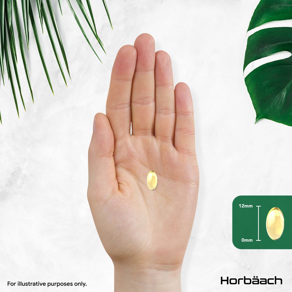 Oregano Oil 200 mg | 90 Softgels