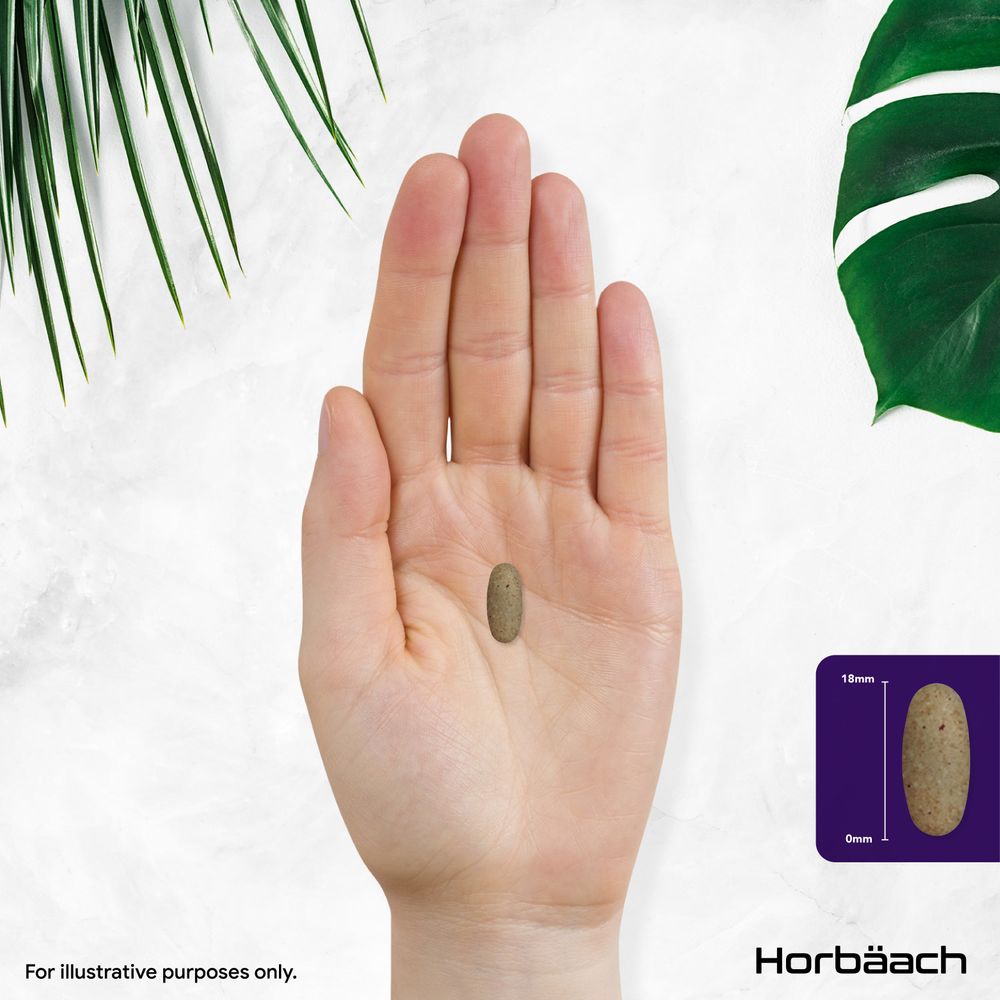 Multivitamins and Minerals for Women 50 Plus | 120 Tablets