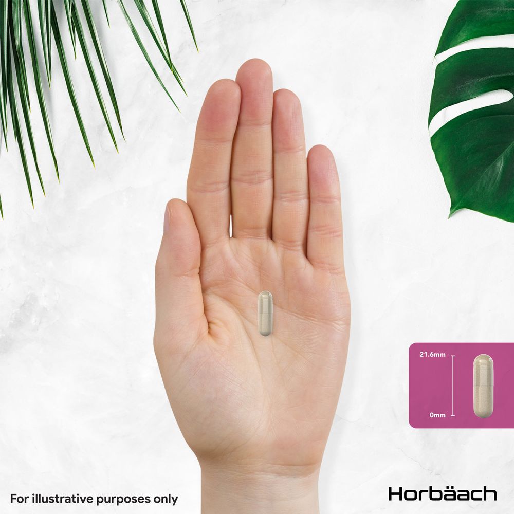 Perimenopause Complex | 60 Capsules