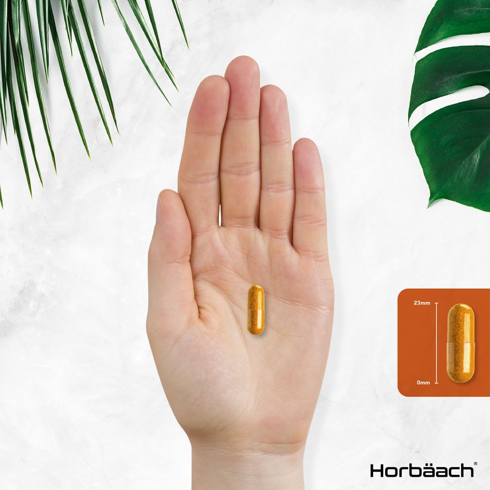 Turmeric Complex with Ginger, Black Pepper 2160 mg | Organic | 120 Capsules