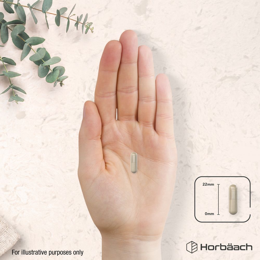 Liver Support Complex | 120 Capsules