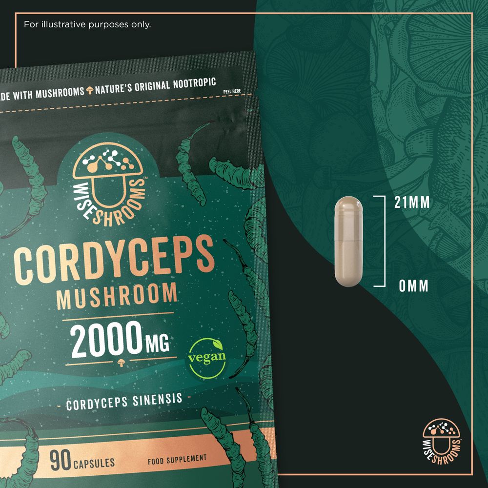 Cordyceps Mushroom 2000 mg | 90 Capsules