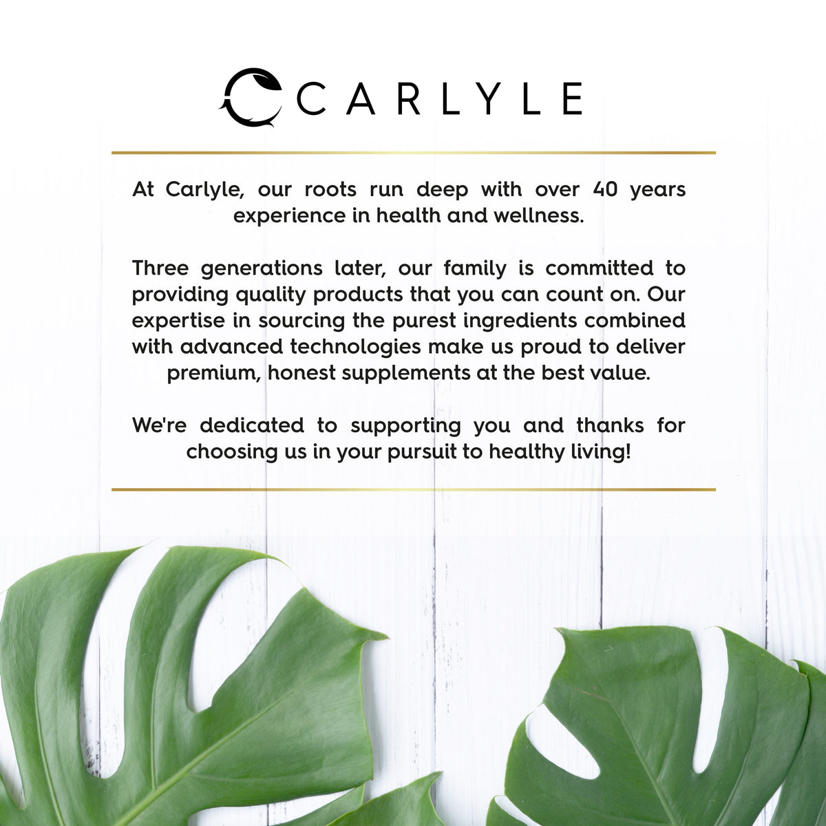 Infographic highlights Carlyle's 40+ years of experience with a focus on quality products, pure ingredients, and advanced technology.