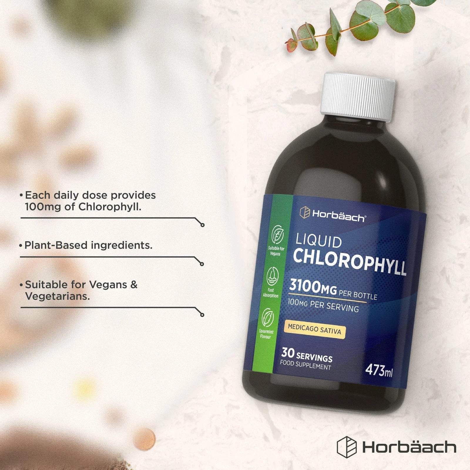 Chlorophyll Liquid 100 mg | 473 ml