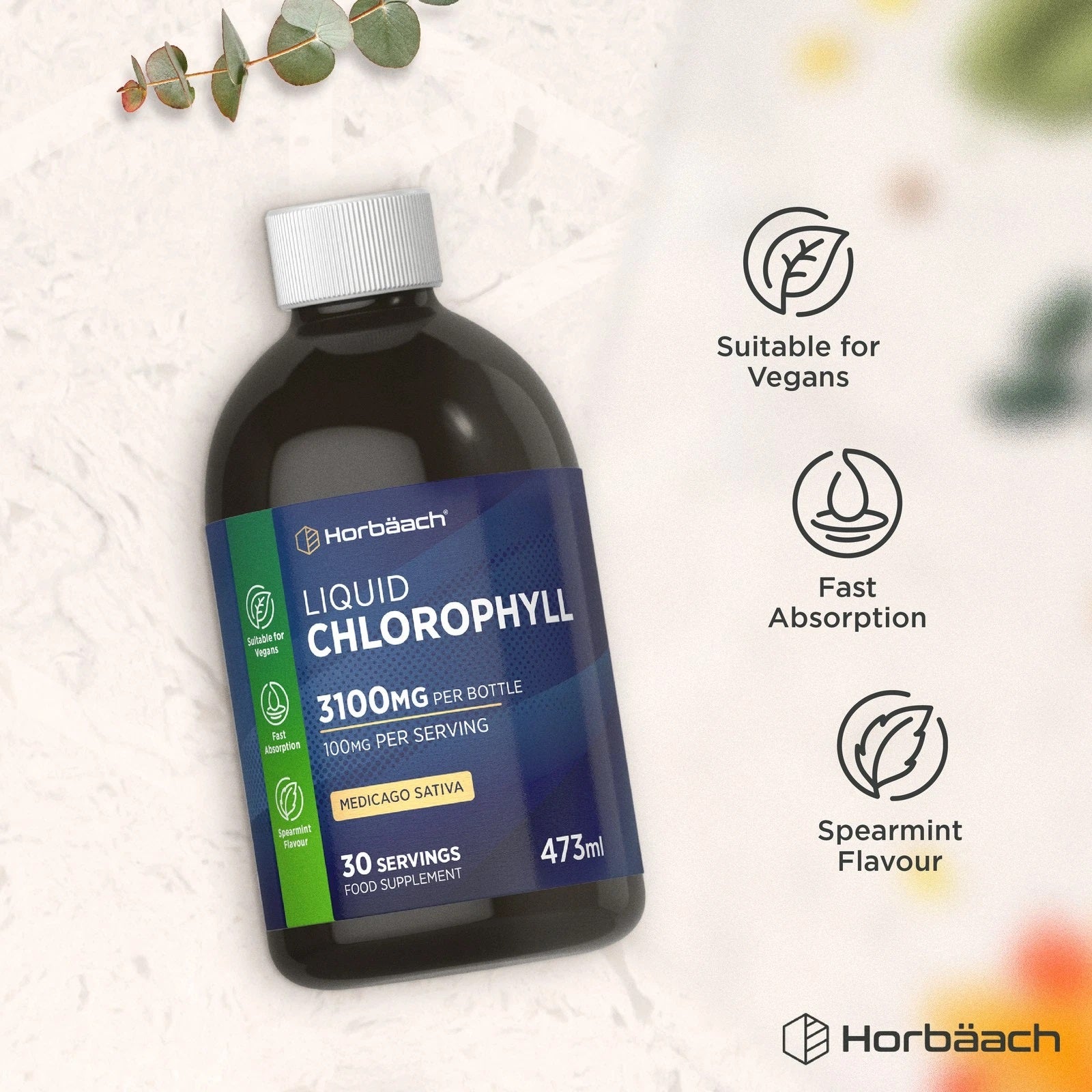 Chlorophyll Liquid 100 mg | 473 ml