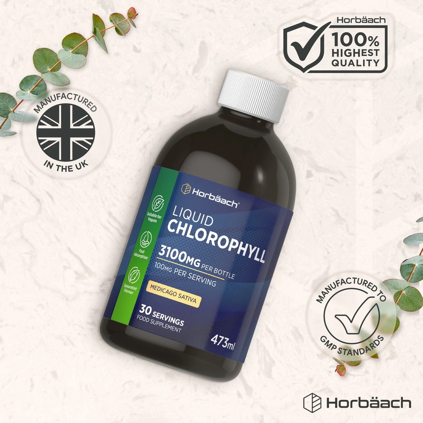 Chlorophyll Liquid 100 mg | 473 ml