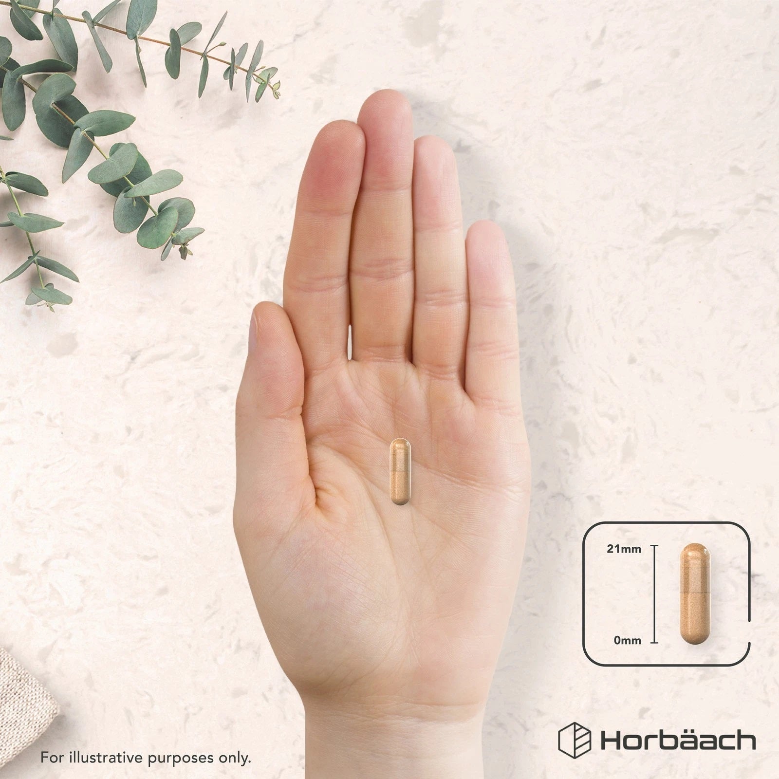 Ashwagandha KSM-66 Complex with Magnesium, Zinc & Vitamin B6 | 120 Capsules