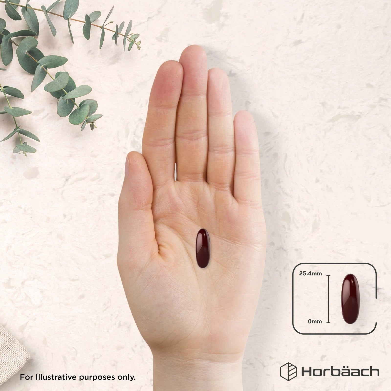 Antarctic Krill Oil 2000 mg | 240 Softgels