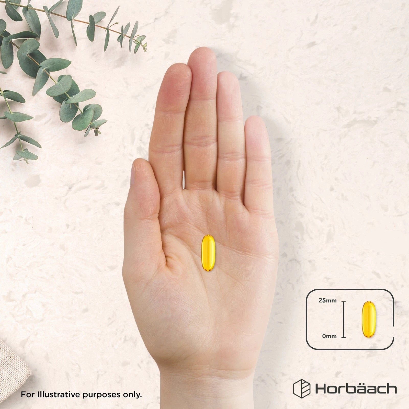 Omega 3 Fish Oil 2000 mg | 120 Softgels