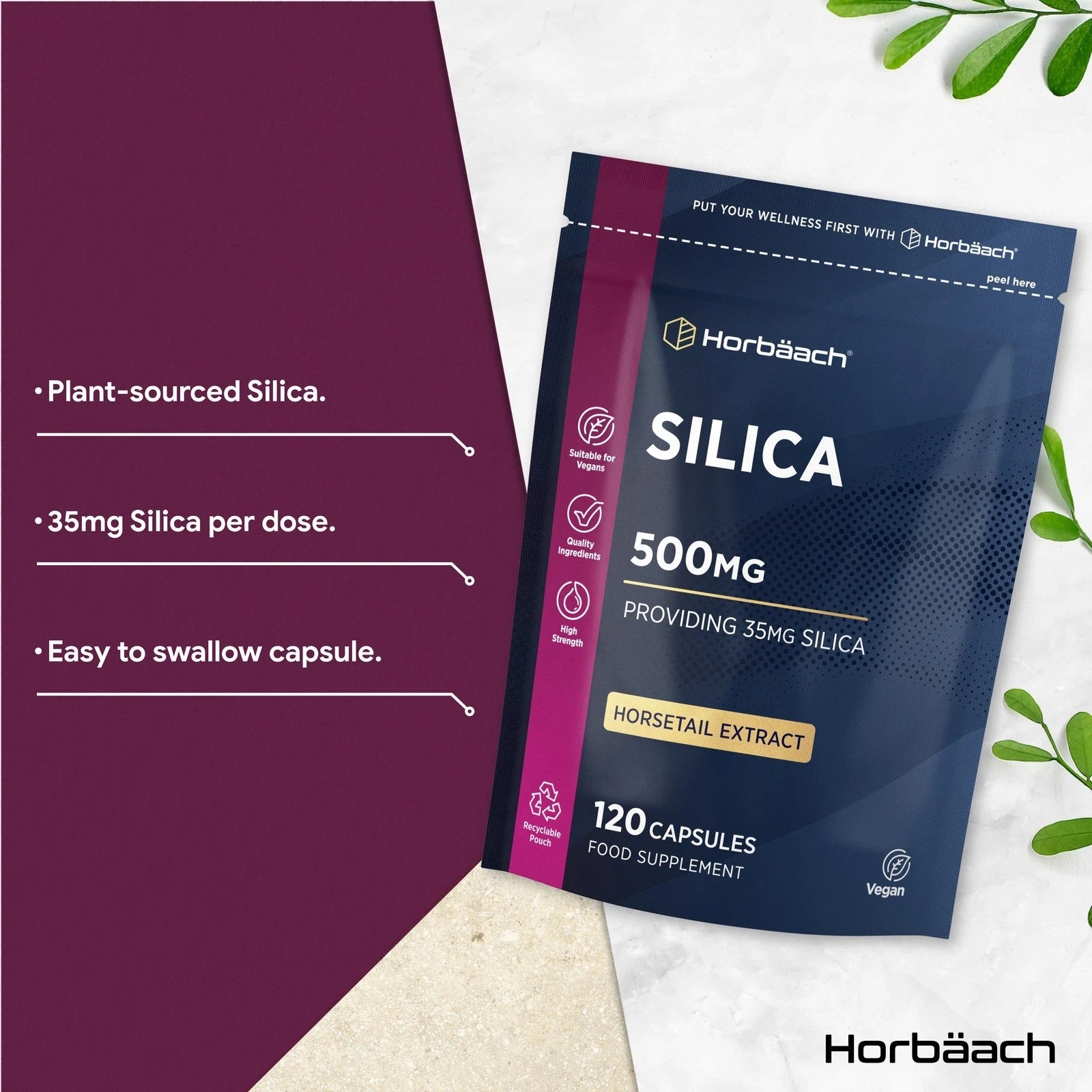Silica Complex 500 mg | 120 Capsules