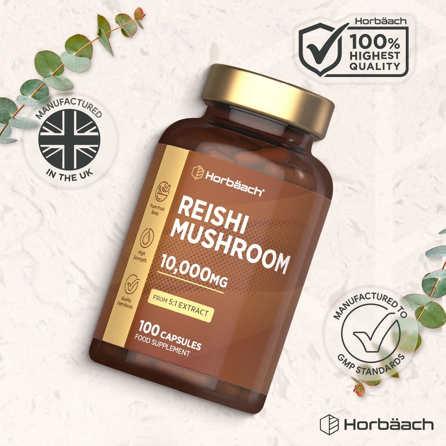 Reishi Mushroom 10,000 mg | 100 Capsules