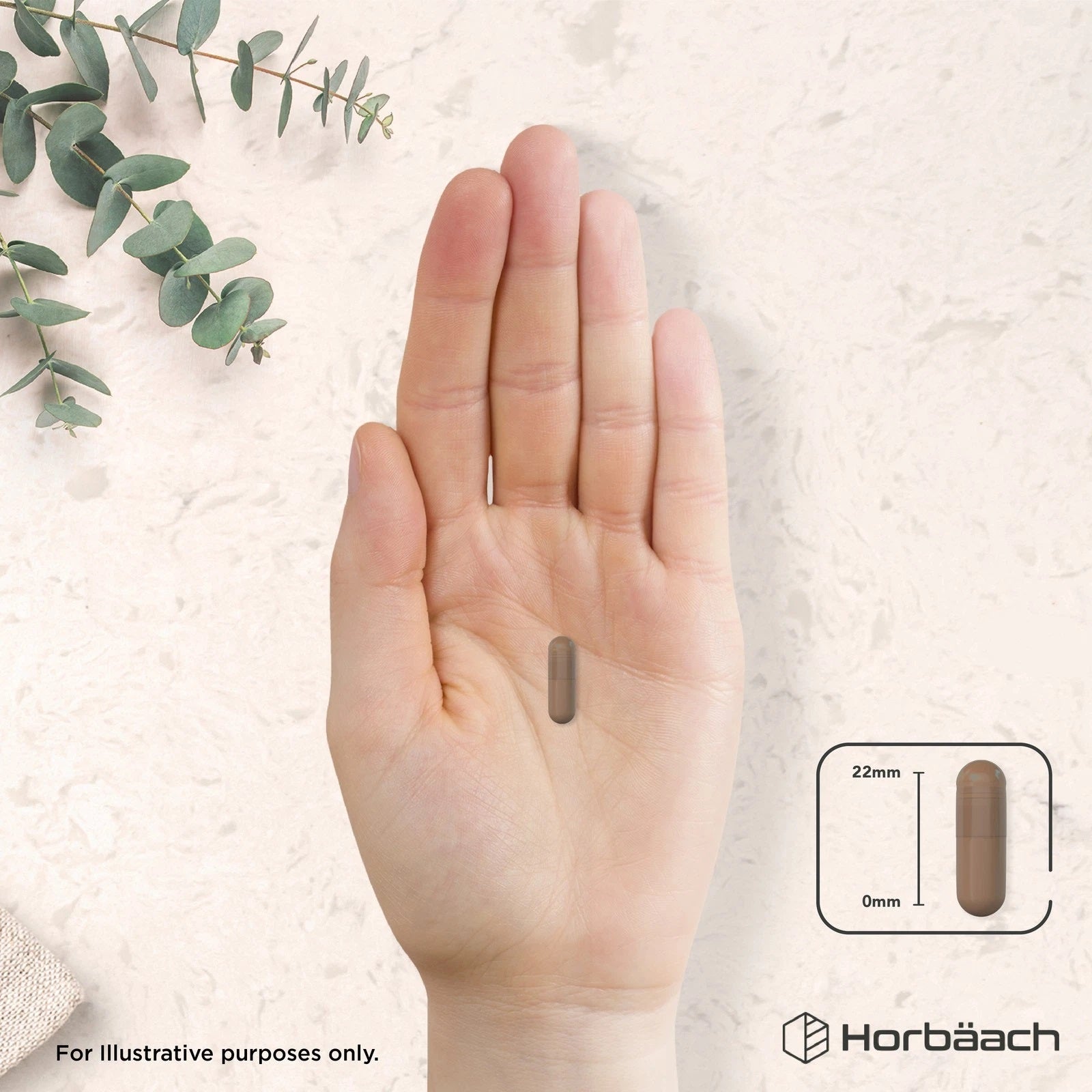 Reishi Mushroom 10,000 mg | 100 Capsules