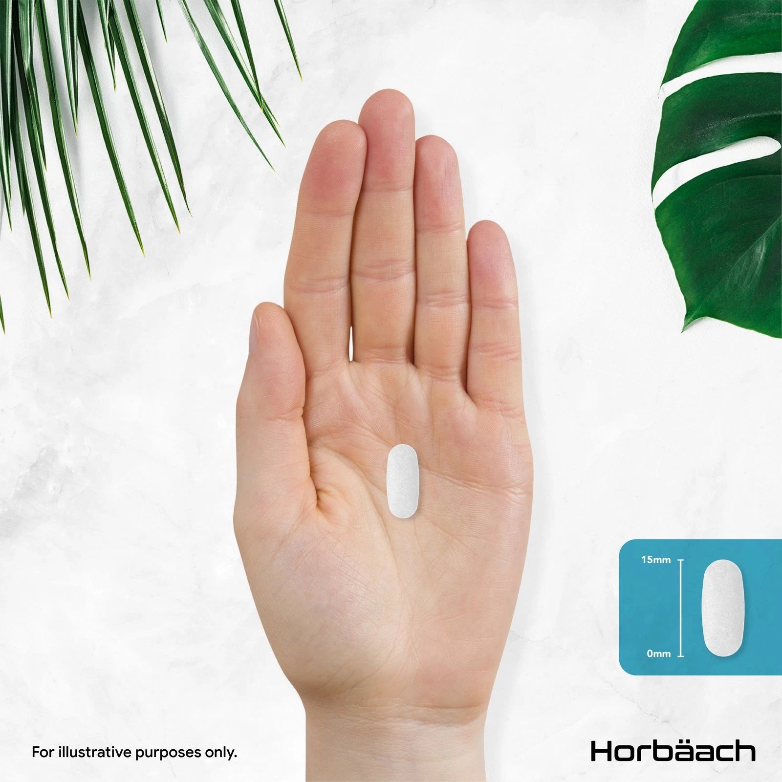 Zinc 25 mg | 360 Tablets