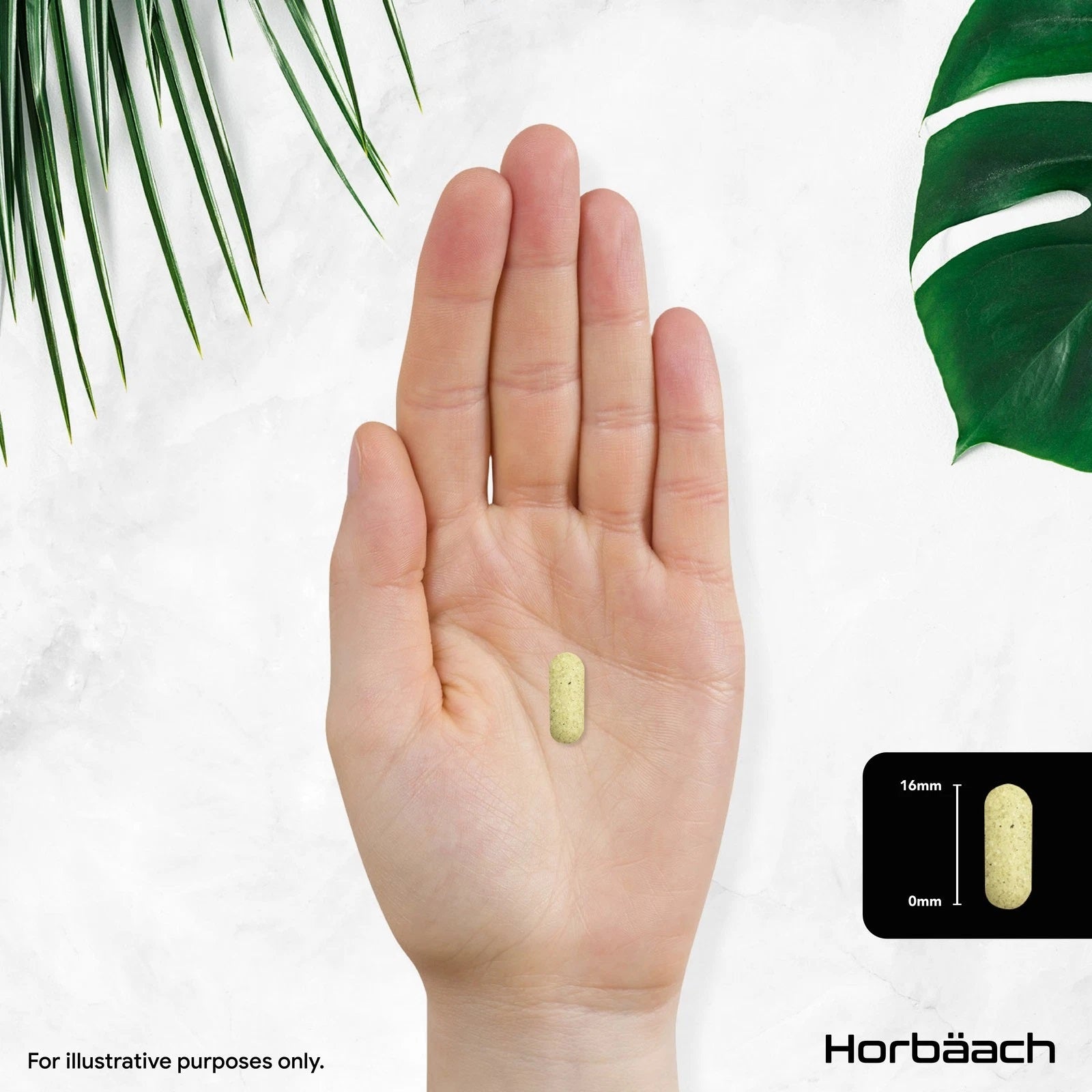 Multivitamins and Minerals | 400 Tablets