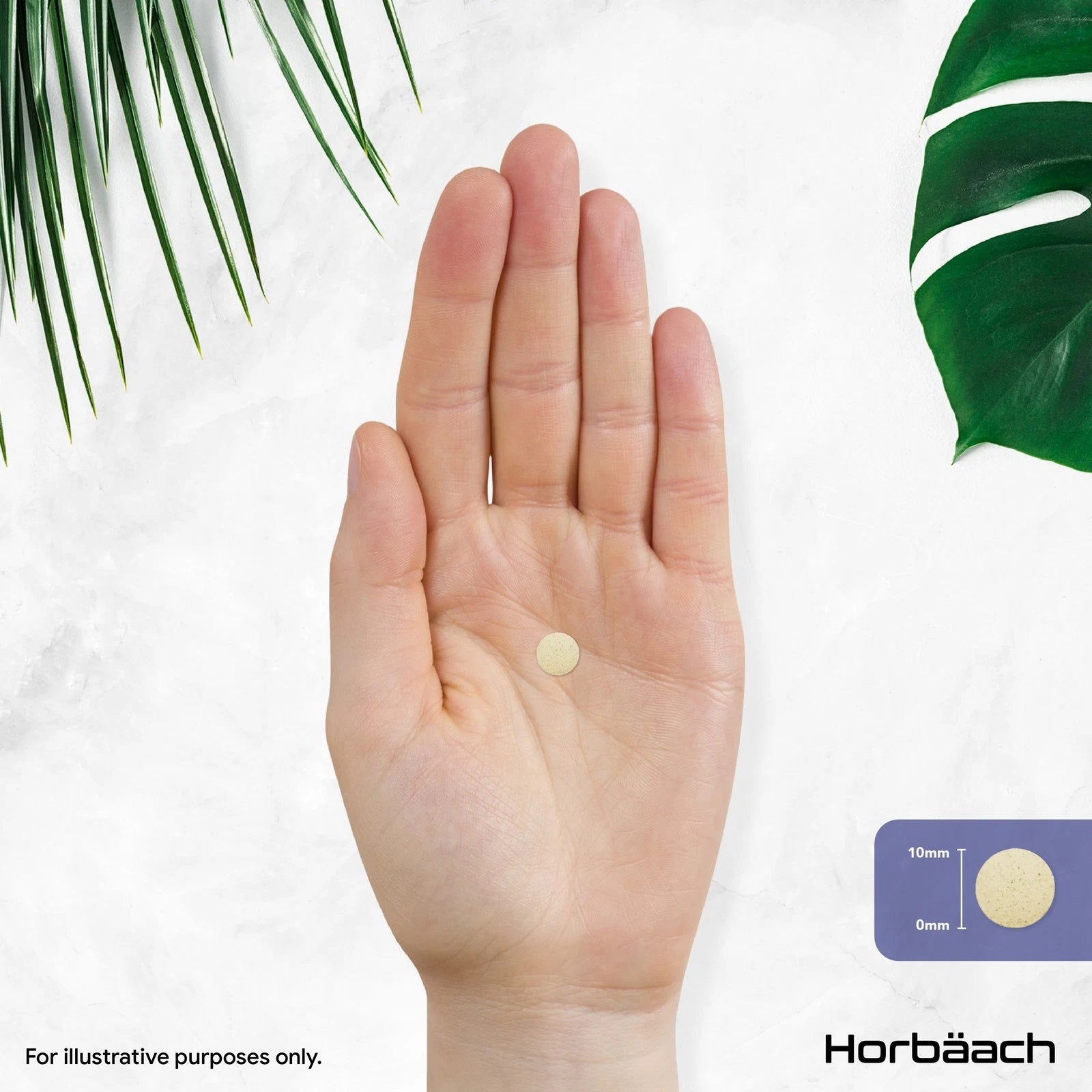 Quercetin Complex 815 mg | 120 Tablets