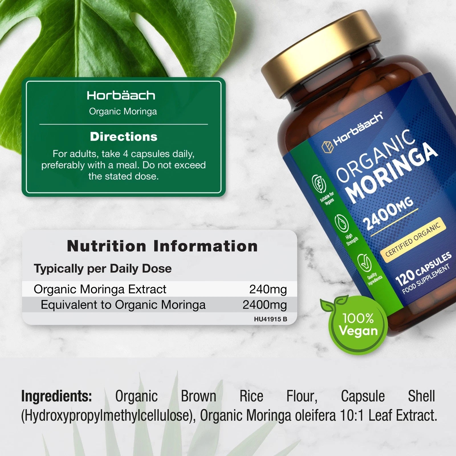 Moringa Oleifera 2400 mg | Organic | 120 Capsules