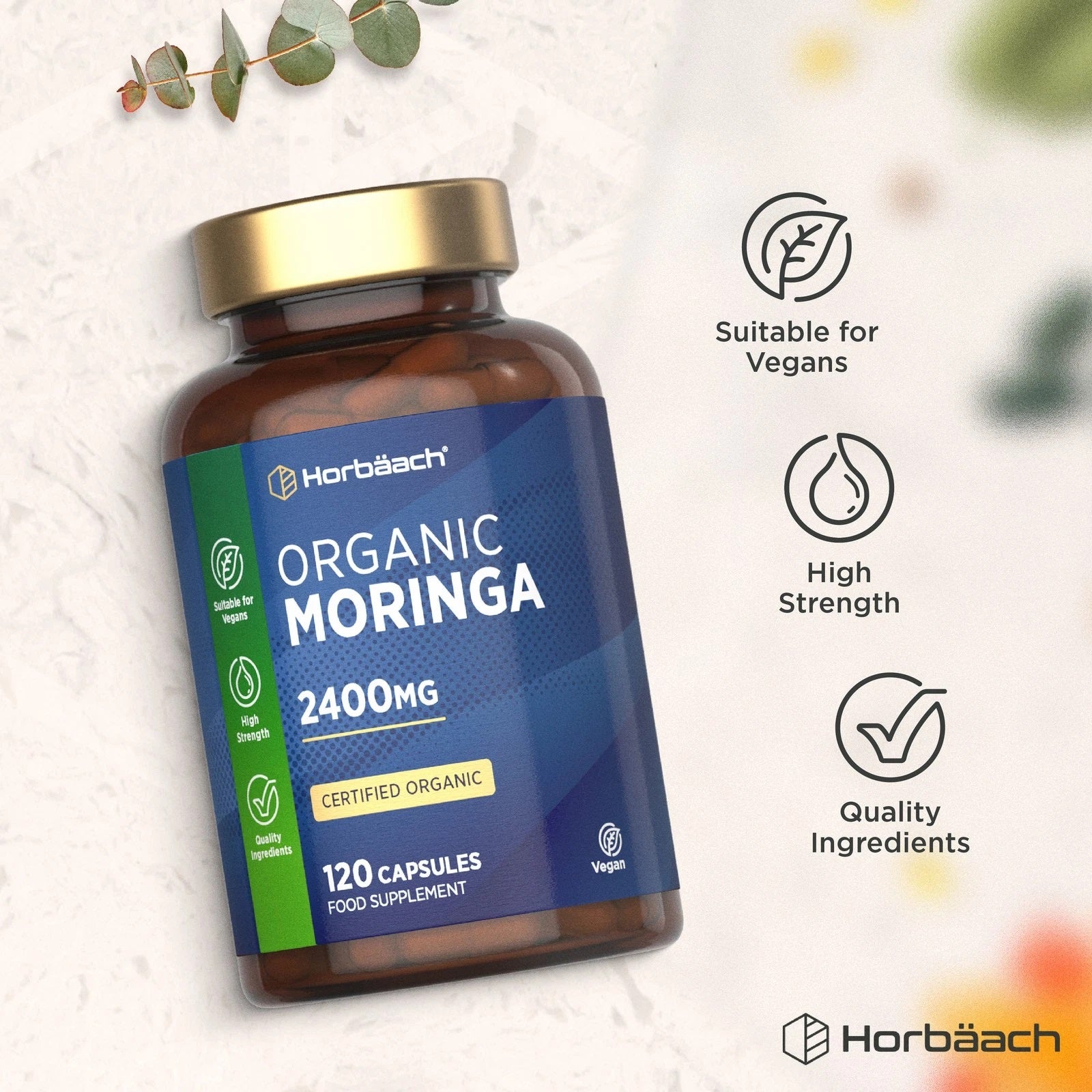 Moringa Oleifera 2400 mg | Organic | 120 Capsules