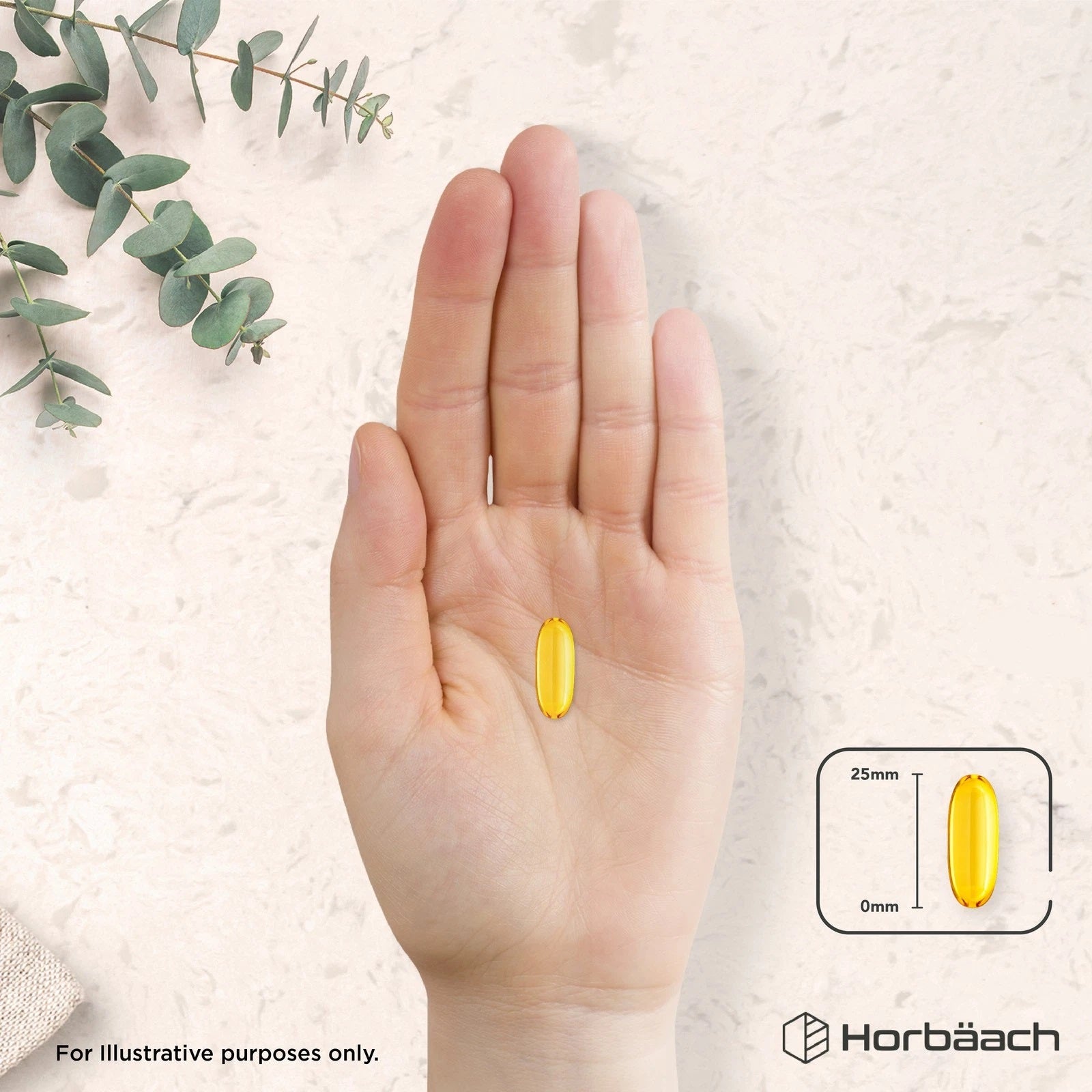 Omega 3 Fish Oil 3000 mg with EPA & DHA | 240 Softgels