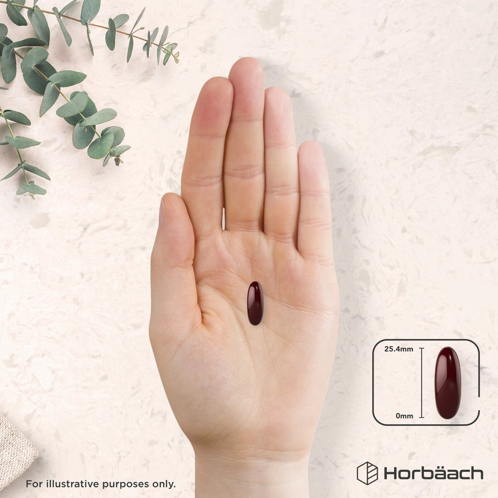 Antarctic Krill Oil 2000 mg | 120 Softgels