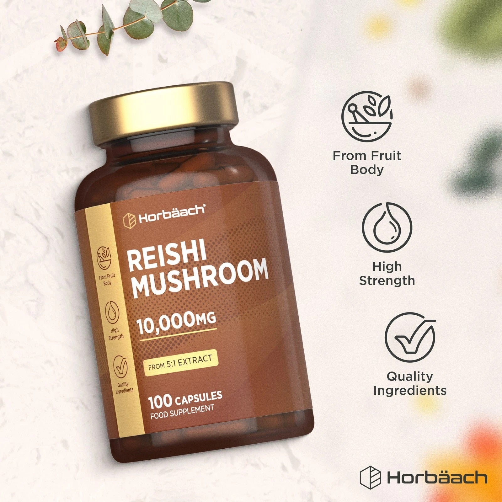 Reishi Mushroom 10,000 mg | 100 Capsules