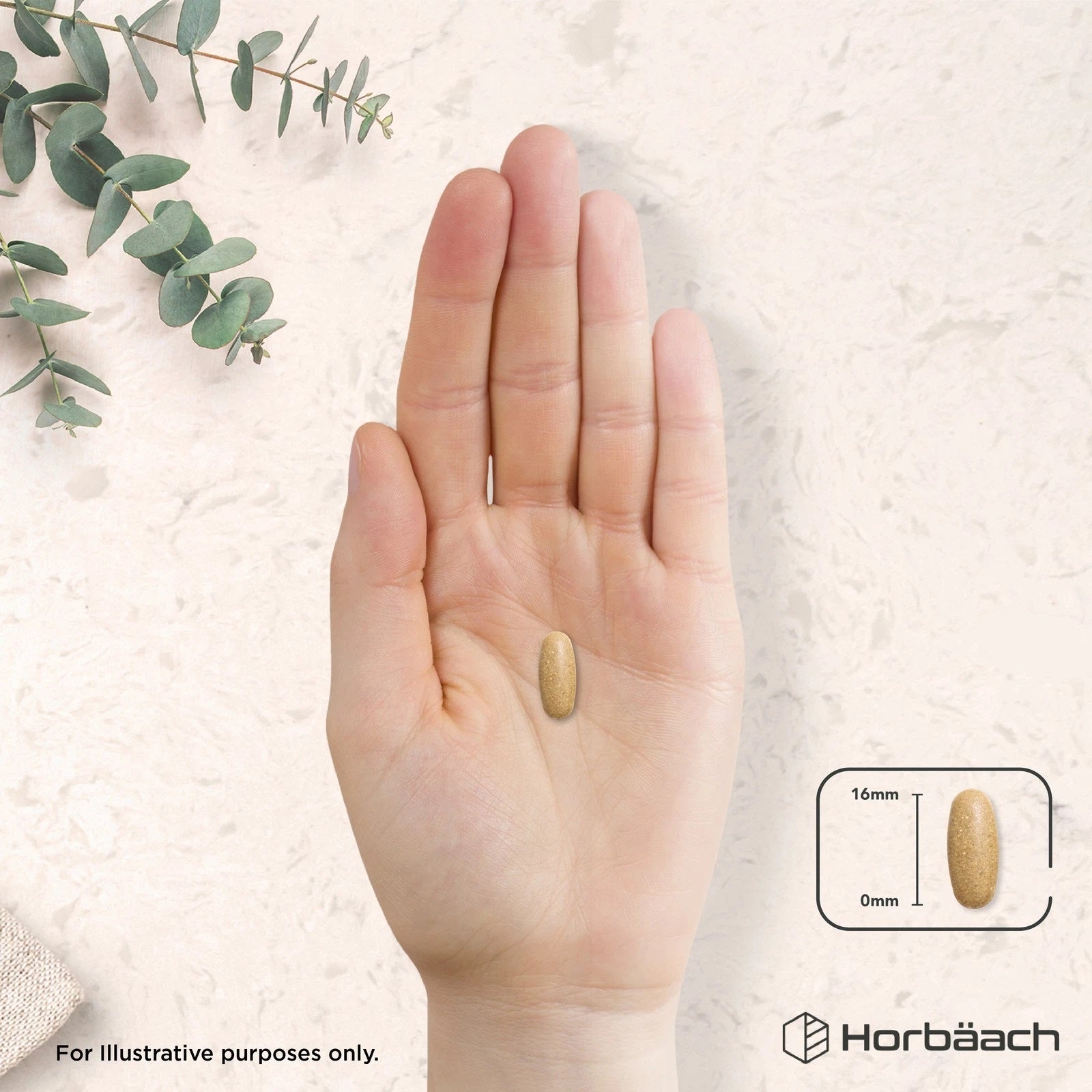 Dandelion Root 750 mg | 90 Tablets