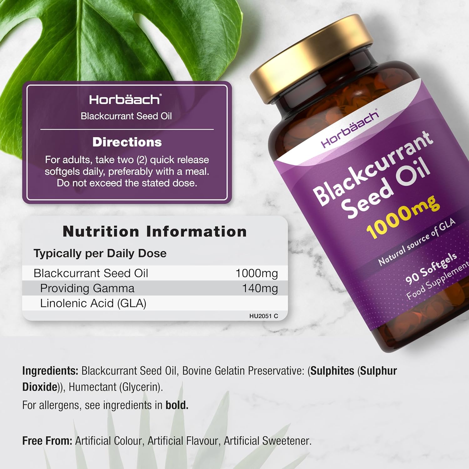 Blackcurrant Seed Oil 1000 mg | 90 Softgels