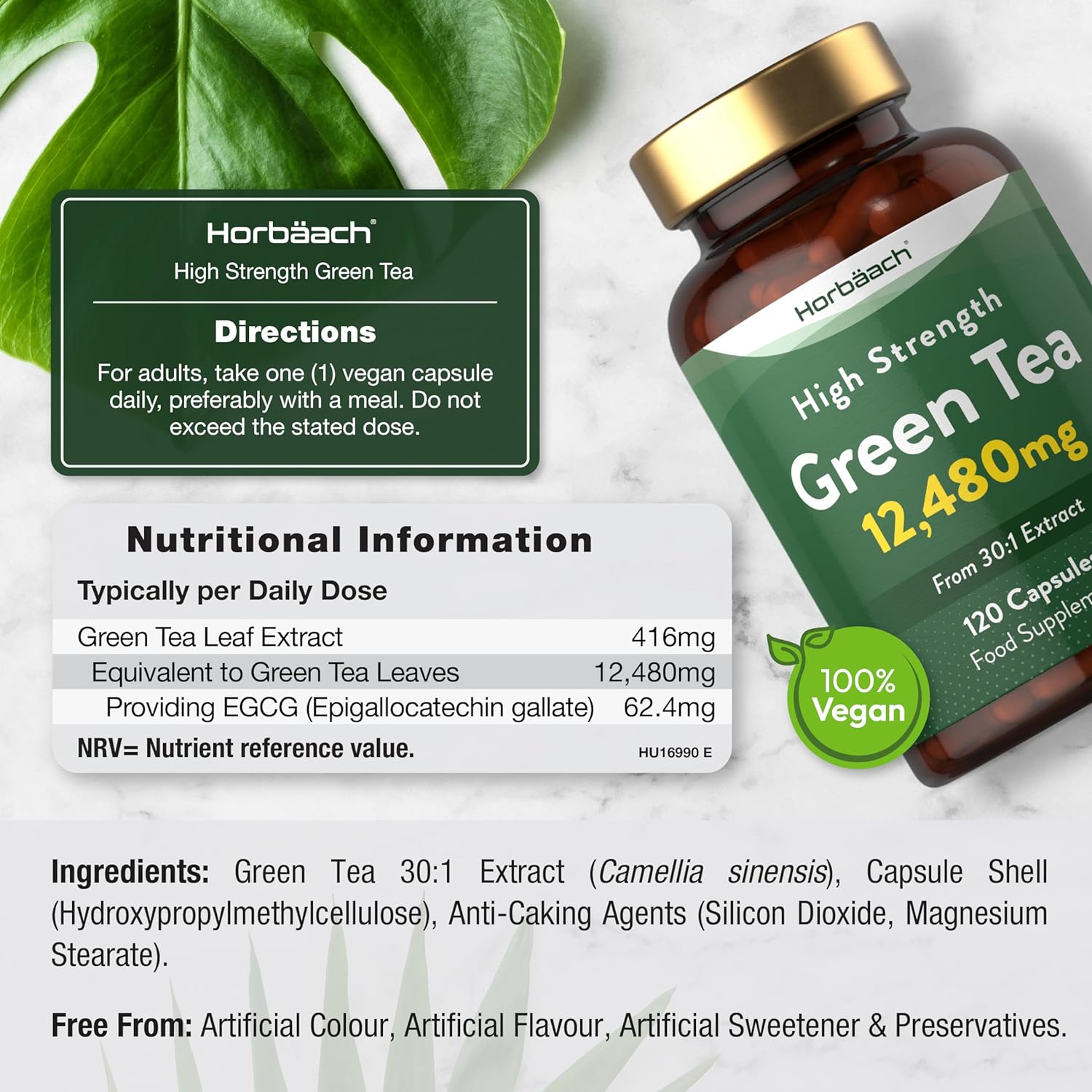 Green Tea 12,480 mg | 120 Capsules