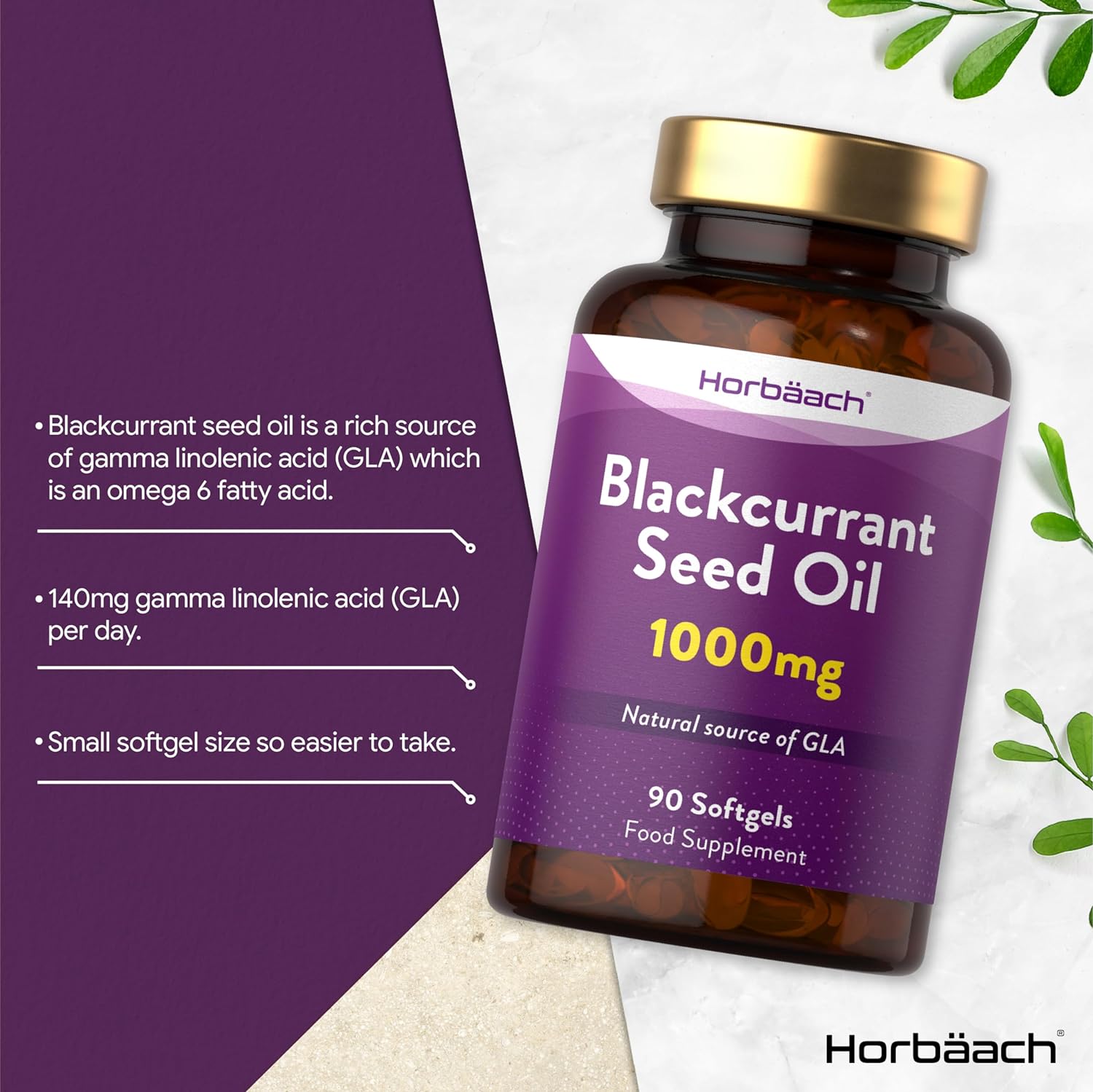 Blackcurrant Seed Oil 1000 mg | 90 Softgels