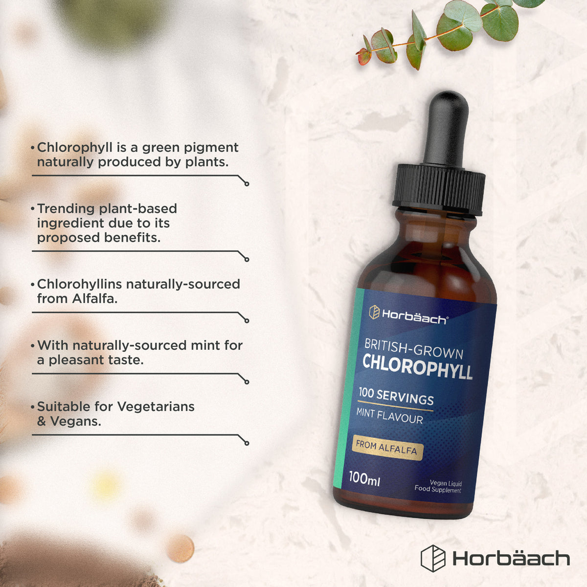 Product highlights graphic stating Chlorophyll: green plant pigment, Trending plant-based, Alfalfa chlorophyllins, Mint for taste.