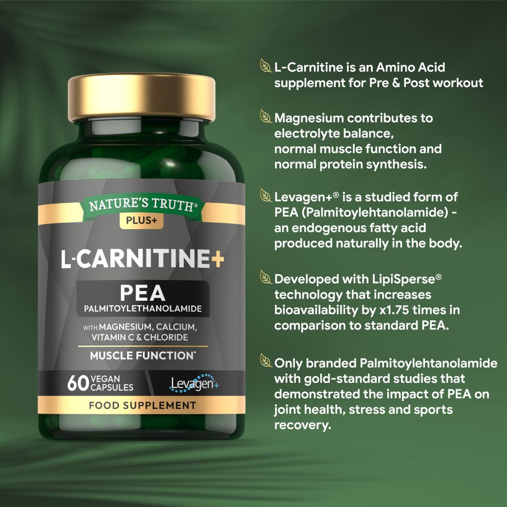 L-Carnitine Complex with Levagen | 60 Capsules