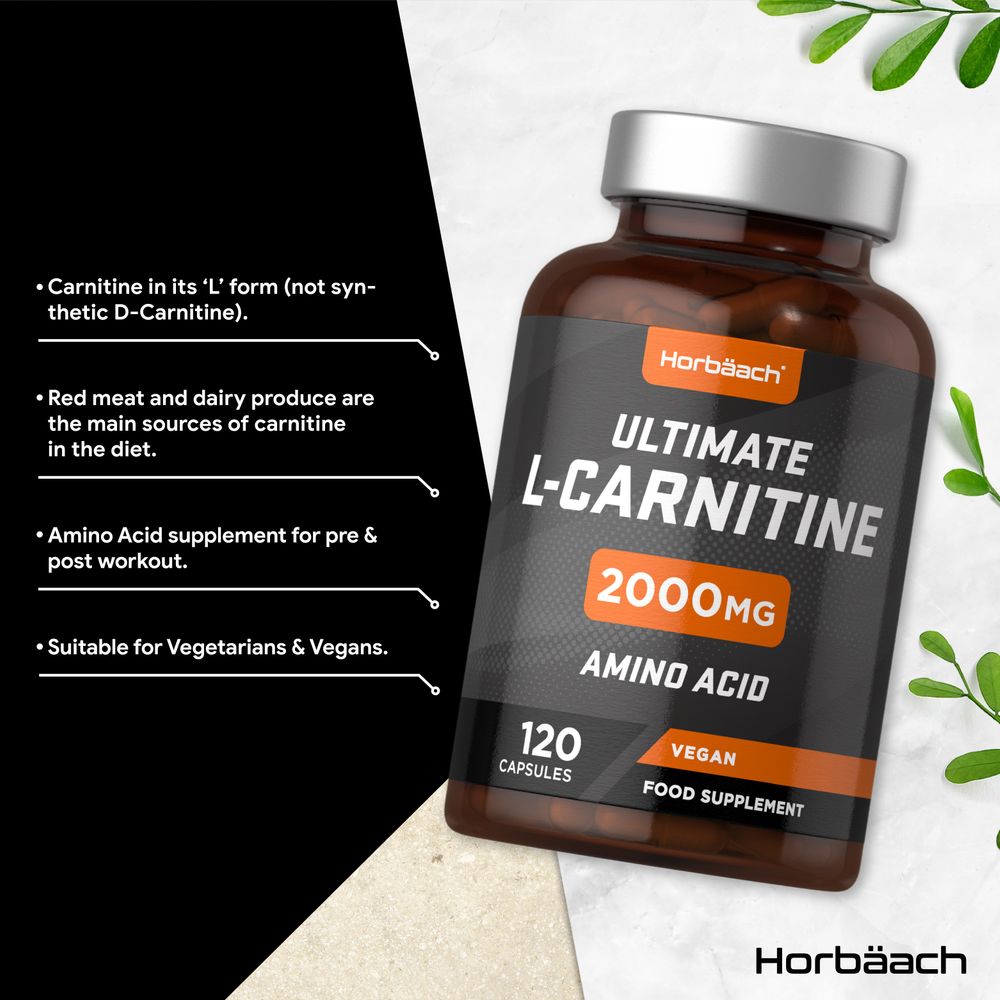L-Carnitine 2000 mg | 120 Capsules L-Carnitine 2000 mg | 120 Capsules