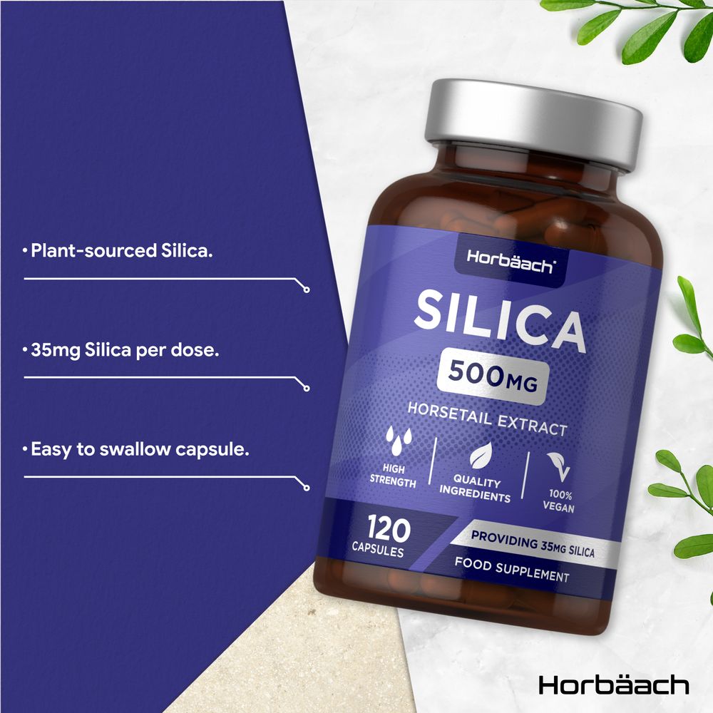 Silica Complex 500 mg | 120 Capsules