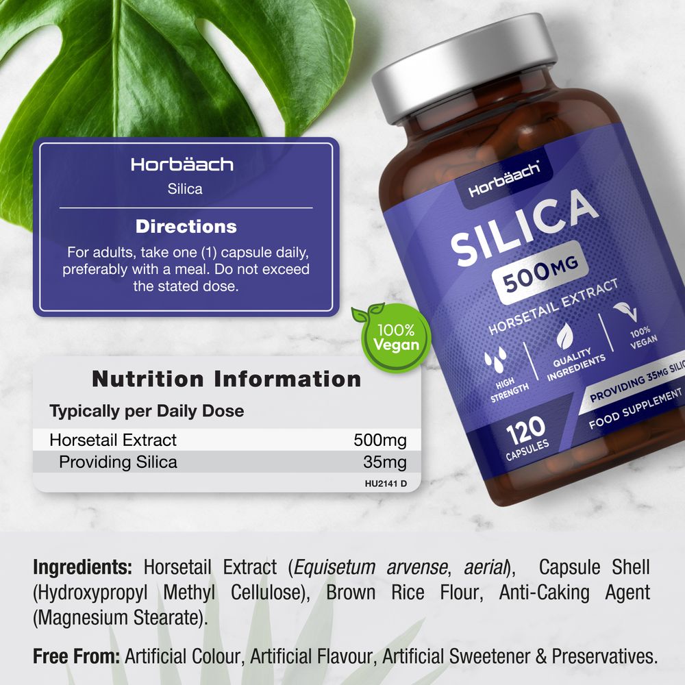 Silica Complex 500 mg | 120 Capsules