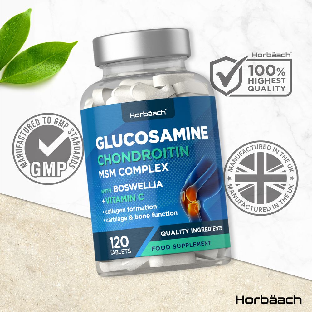 Glucosamine and Chondroitin MSM Complex | 120 Tablets