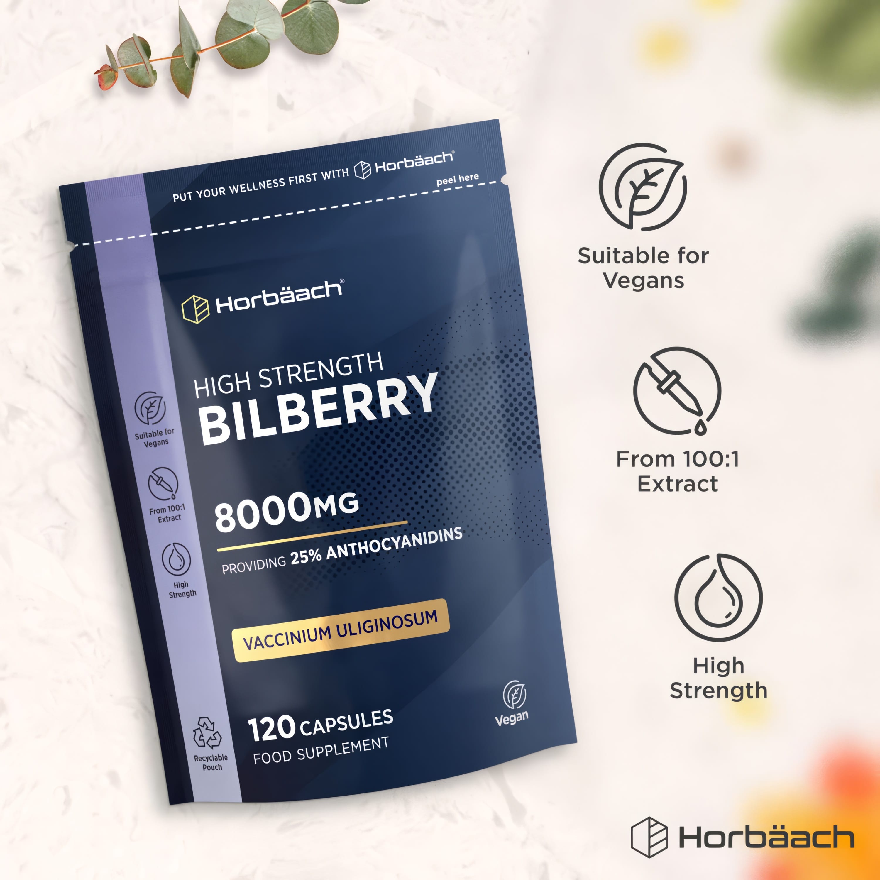 High Strength Bilberry 8000mg, offering 25% Anthocyanidins, includes 120 vegan capsules from 100:1 extract.