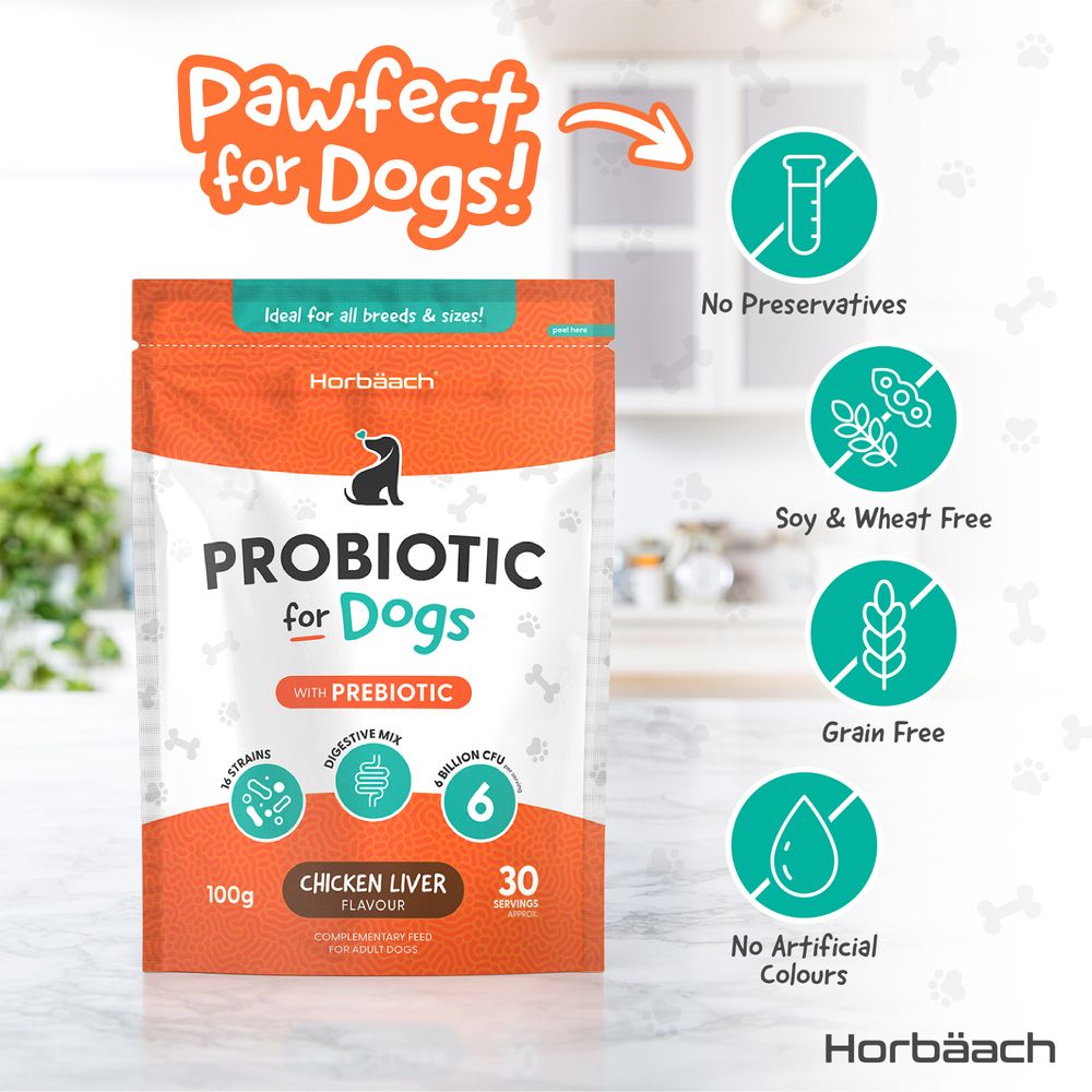 Probiotics Powder with Prebiotic for Dogs | 100 g