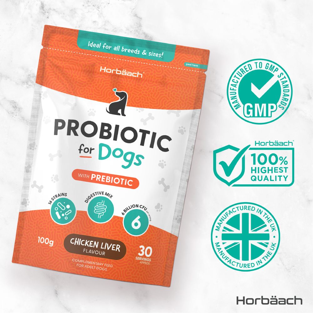 Biotics Powder with Prebiotic for Dogs | 100 g